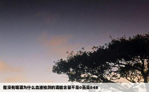 我没有喝酒为什么血液检测的酒精含量不是0而是048