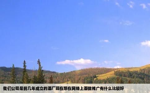 我们公司是前几年成立的酒厂现在想在网络上面做推广有什么比较好