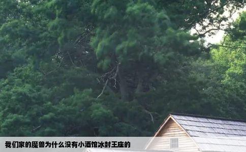 我们家的魔兽为什么没有小酒馆冰封王座的