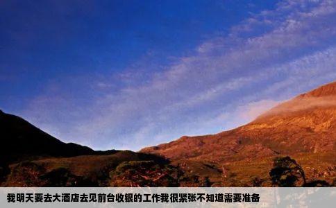 我明天要去大酒店去见前台收银的工作我很紧张不知道需要准备