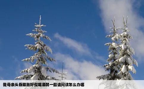 我母亲头昏脑胀好似喝酒醉一般请问该怎么办哪