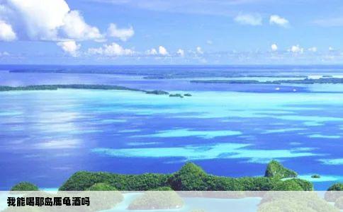 我能喝耶岛鹿龟酒吗