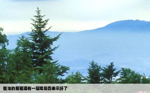 我泡的葡萄酒有一层霉是否表示坏了