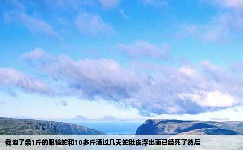 我泡了条1斤的眼镜蛇和10多斤酒过几天蛇肚皮浮出面已经死了然后