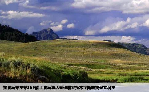 我青岛考生考369能上青岛酒店管理职业技术学院吗我是文科生