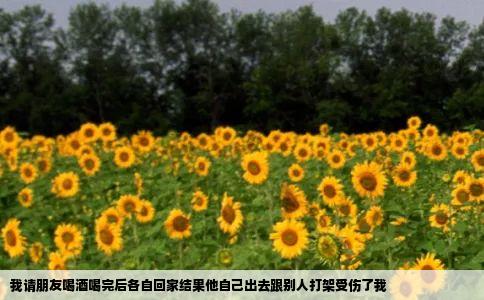 我请朋友喝酒喝完后各自回家结果他自己出去跟别人打架受伤了我