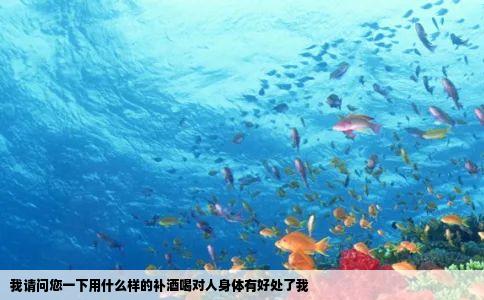 我请问您一下用什么样的补酒喝对人身体有好处了我