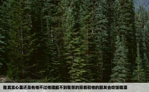 我其实心里还是有他不过他理解不到我想的顾着和他的朋友去吃饭喝酒
