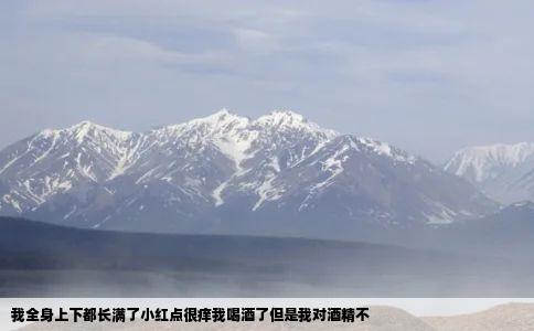 我全身上下都长满了小红点很痒我喝酒了但是我对酒精不