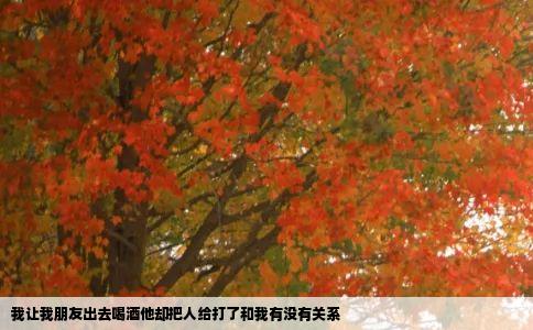 我让我朋友出去喝酒他却把人给打了和我有没有关系