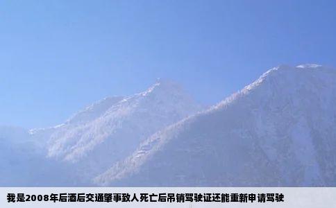 我是2008年后酒后交通肇事致人死亡后吊销驾驶证还能重新申请驾驶