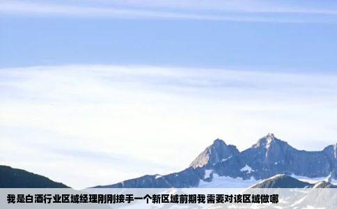 我是白酒行业区域经理刚刚接手一个新区域前期我需要对该区域做哪