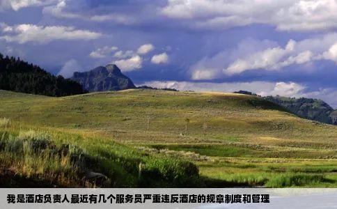 我是酒店负责人最近有几个服务员严重违反酒店的规章制度和管理