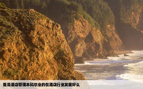 我是酒店管理本科毕业的在酒店行业发展好么