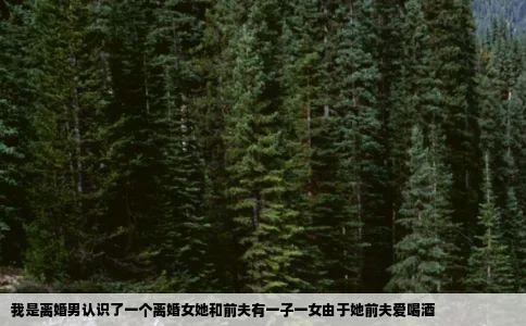 我是离婚男认识了一个离婚女她和前夫有一子一女由于她前夫爱喝酒