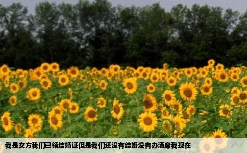 我是女方我们已领结婚证但是我们还没有结婚没有办酒席我现在