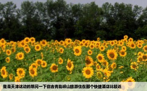 我是天津这边的想问一下你去青岛崂山旅游住在那个快捷酒店比较近