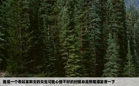 我是一个看起来斯文的女生可我心情不好的时候总是想喝酒发泄一下