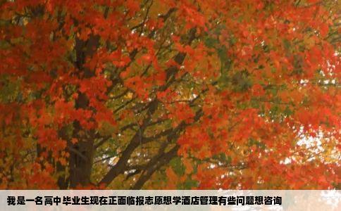 我是一名高中毕业生现在正面临报志愿想学酒店管理有些问题想咨询