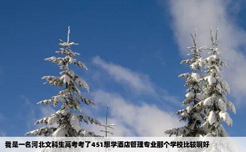 我是一名河北文科生高考考了451想学酒店管理专业那个学校比较啊好