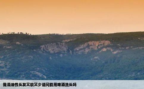 我是油性头发又软又少请问能用啤酒洗头吗