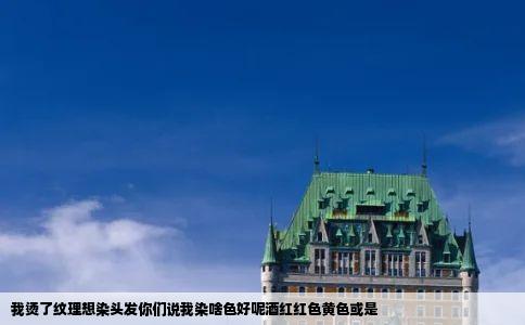 我烫了纹理想染头发你们说我染啥色好呢酒红红色黄色或是