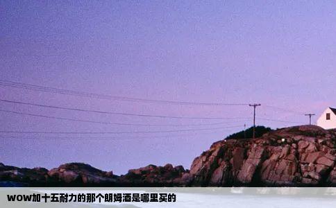 WOW加十五耐力的那个朗姆酒是哪里买的