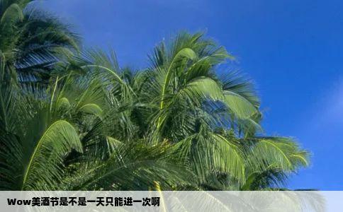 Wow美酒节是不是一天只能进一次啊