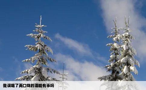 我误喝了两口烧的酒精有事吗