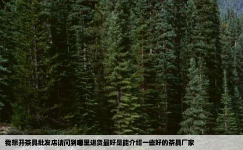 我想开茶具批发店请问到哪里进货最好是能介绍一些好的茶具厂家