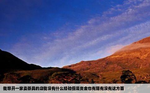 我想开一家卖茶具的店我没有什么经验但是资金也有限有没有这方面