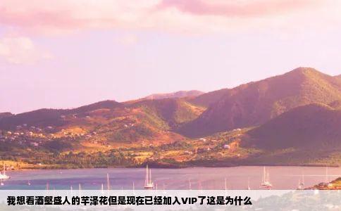 我想看酒壑盛人的芊泽花但是现在已经加入VIP了这是为什么