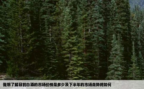 我想了解目前白酒的市场价格是多少及下半年的市场走势将如何