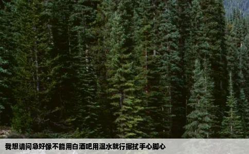 我想请问急好像不能用白酒吧用温水就行擦拭手心脚心