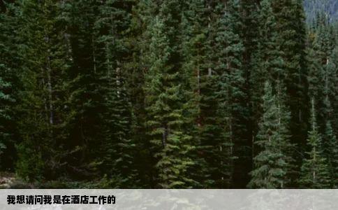 我想请问我是在酒店工作的