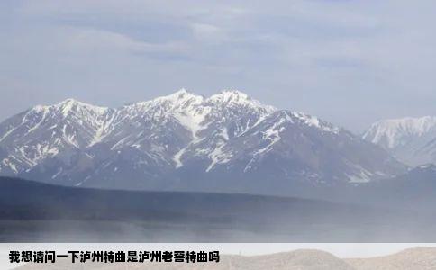 我想请问一下泸州特曲是泸州老窖特曲吗