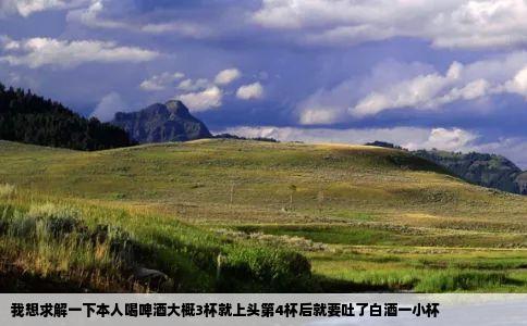 我想求解一下本人喝啤酒大概3杯就上头第4杯后就要吐了白酒一小杯