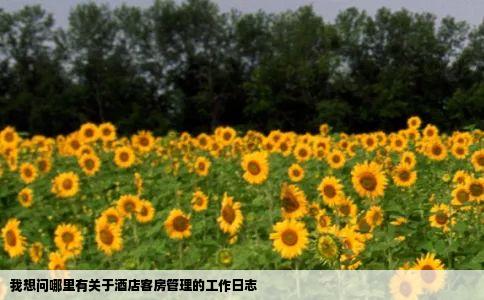 我想问哪里有关于酒店客房管理的工作日志