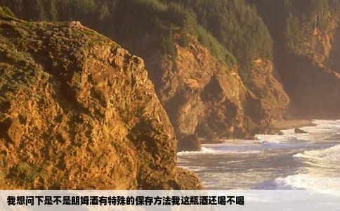 我想问下是不是朗姆酒有特殊的保存方法我这瓶酒还喝不喝