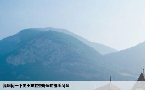 我想问一下关于龙井茶叶里的绒毛问题