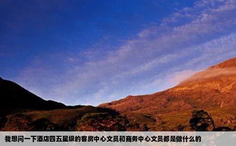 我想问一下酒店四五星级的客房中心文员和商务中心文员都是做什么的