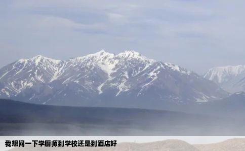 我想问一下学厨师到学校还是到酒店好
