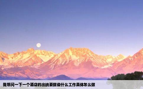 我想问一下一个酒店的出纳要做些什么工作具体怎么做