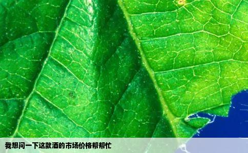 我想问一下这款酒的市场价格帮帮忙