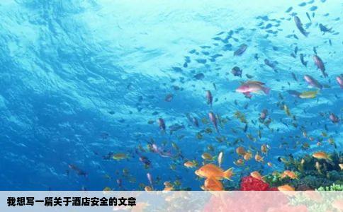 我想写一篇关于酒店安全的文章