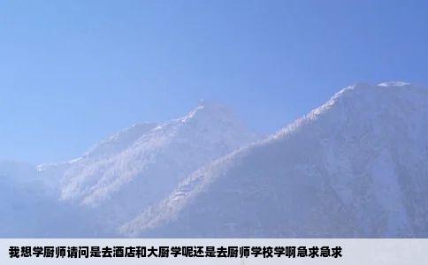 我想学厨师请问是去酒店和大厨学呢还是去厨师学校学啊急求急求