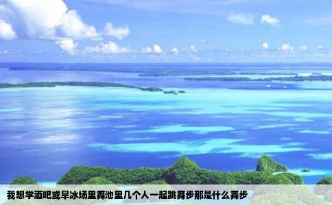 我想学酒吧或旱冰场里舞池里几个人一起跳舞步那是什么舞步