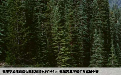 我想学酒店管理但我比较矮只有166cm我是男生学这个专业会不会