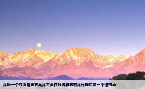 我想一个白酒销售方案我主要在县城和农村我代理的是一个低档酒