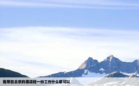 我想在北京的酒店找一份工作什么都可以